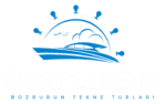 logo beyaz