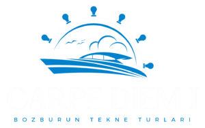 logo beyaz